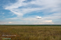 Озеро Жетыколь. Июнь 2025 года