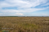 Озеро Жетыколь. Июнь 2025 года