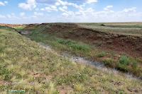 Ащисайский пруд. Июнь 2025 года