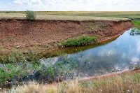 Ащисайский пруд. Июнь 2025 года