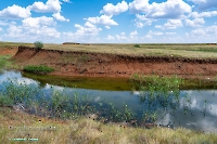 Ащисайский пруд. Июнь 2025 года