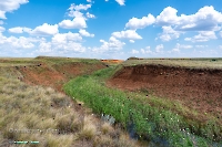 Ащисайский пруд. Июнь 2025 года