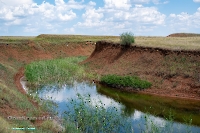 Ащисайский пруд. Июнь 2025 года