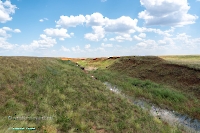 Ащисайский пруд. Июнь 2025 года