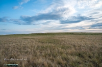 Гора Белый Камень. Июнь 2025 года