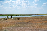 Озеро Коскуль (восточное). Июнь 2025 года