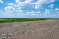 Озеро Коскуль (западное). Июнь 2025 года