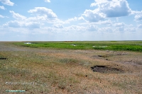 Озеро Коскуль (западное). Июнь 2025 года