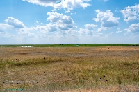 Озеро Коскуль (восточное). Июнь 2025 года