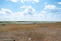 Озеро Коскуль (восточное). Июнь 2025 года