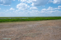 Озеро Коскуль (западное). Июнь 2025 года