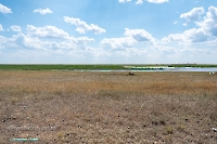 Озеро Коскуль (восточное). Июнь 2025 года