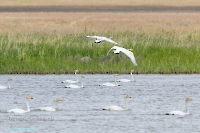 Озеро Айке. Июнь 2025 года