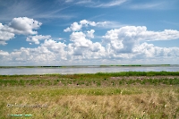 Озеро Айке. Июнь 2025 года