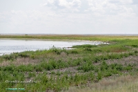 Озеро Айке. Июнь 2025 года