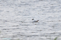 Озеро Айке. Июнь 2025 года