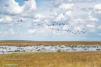 Озеро Айке. Июнь 2025 года