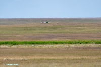 Озеро Батпакты. Июнь 2025 года