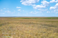 Озеро Батпакты. Июнь 2025 года