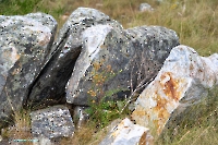 Скала Белая. Июнь 2025 года