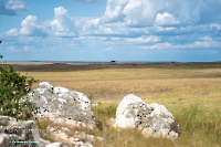 Скала Белая. Июнь 2025 года