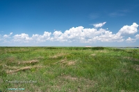 Верхнетущесайский пруд. Июнь 2025 год