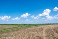 Верхнетущесайский пруд. Июнь 2025 год