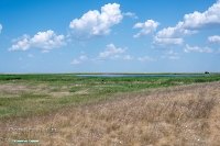 Верхнетущесайский пруд. Июнь 2025 год