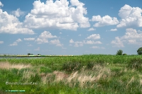 Верхнетущесайский пруд. Июнь 2025 год