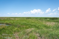 Верхнетущесайский пруд