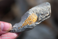 Гора Стеклянная. Июль 2025 года