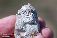 Гора Стеклянная. Июль 2025 года