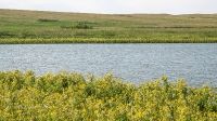 Озеро Кызколь. Июнь 2021 года