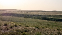 Тастыбутакское ущелье на реке Кумак. Май 2021 года
