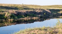Тастыбутакское ущелье на реке Кумак
