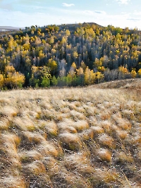 Урочище Степной Маяк