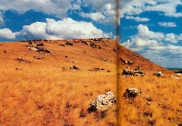 Урочище Степной Маяк