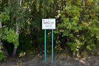 Ермаковский лесопарк (парк усадьбы Гинтера)