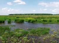 Голубовские моховые болота
