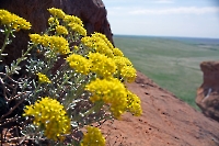 Самангульские Красные камни (урочище Бакаэл)