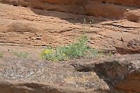 Самангульские Красные камни (урочище Бакаэл)