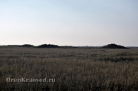Степные урочища с курганами 