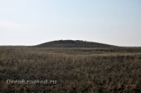 Степные урочища с курганами 