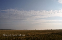 Степные урочища с курганами 