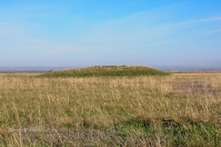 Степные урочища с курганами 