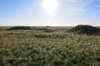 Степные урочища с курганами 