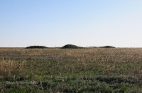 Степные урочища с курганами 
