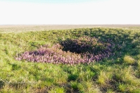 Урочище Иш-Оба