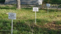 Мемориальный лесопарк на месте гибели В.М. Комарова