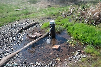 Родник близ посёлка Вторая Пятилетка. Апрель 2025 года